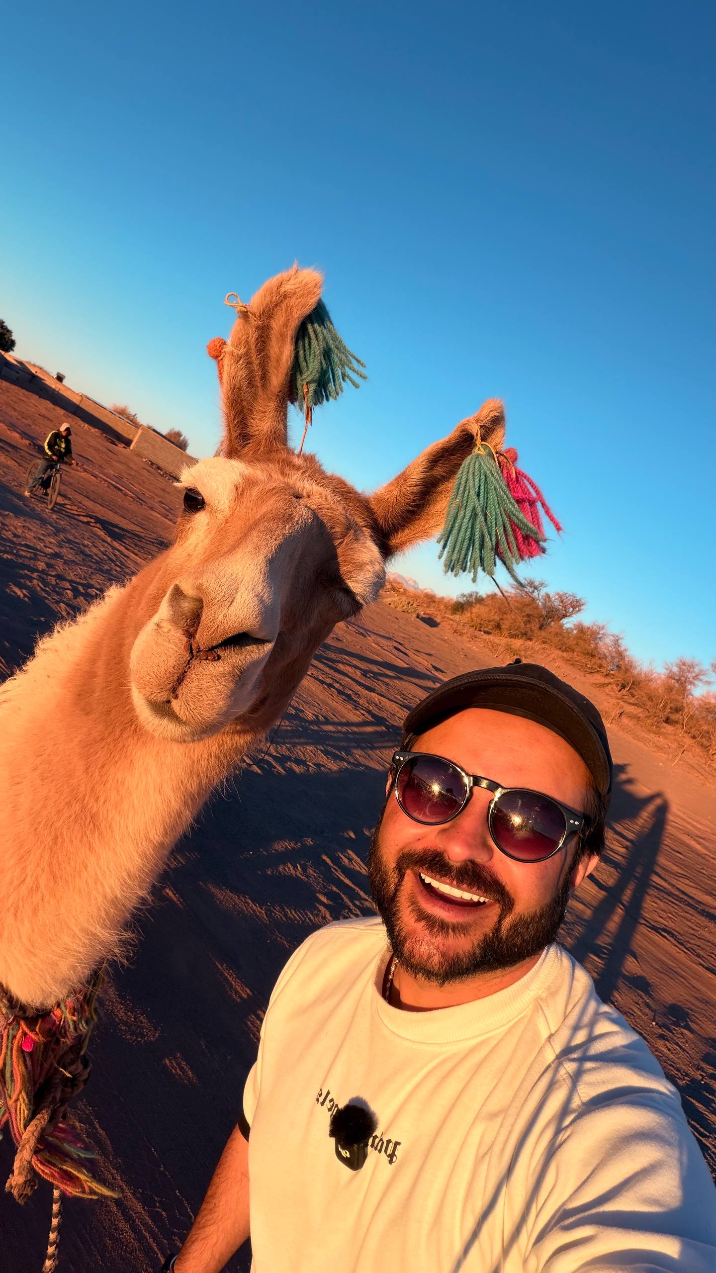 Dan sorrindo numa selfie ao lado de uma lhama enfeitada com pompons coloridos nas orelhas, no deserto do Atacama na luz dourada