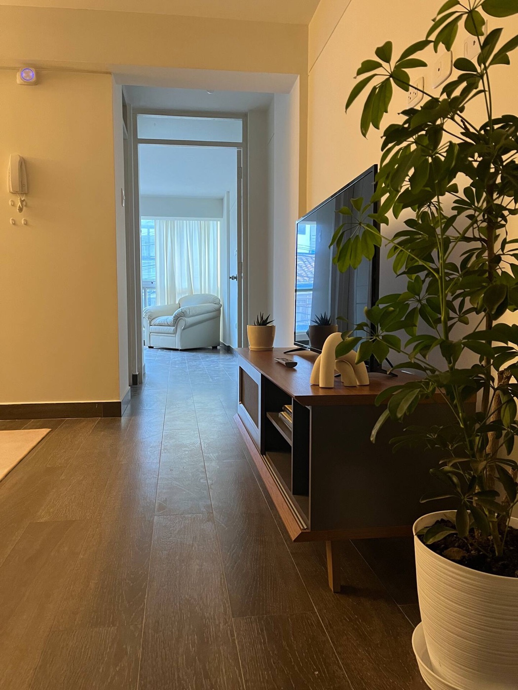 Corredor e sala do apartamento em Cusco: piso de madeira, rack escuro com TV, planta grande e a porta do quarto ao fundo com a luz da janela (foto do anúncio)