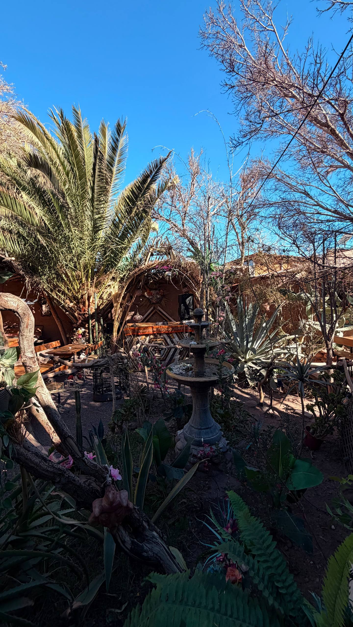 O jardim do Jardín Meraki em San Pedro de Atacama: palmeiras, cactos, uma fonte de pedra e mesas de madeira sob o céu azul do deserto